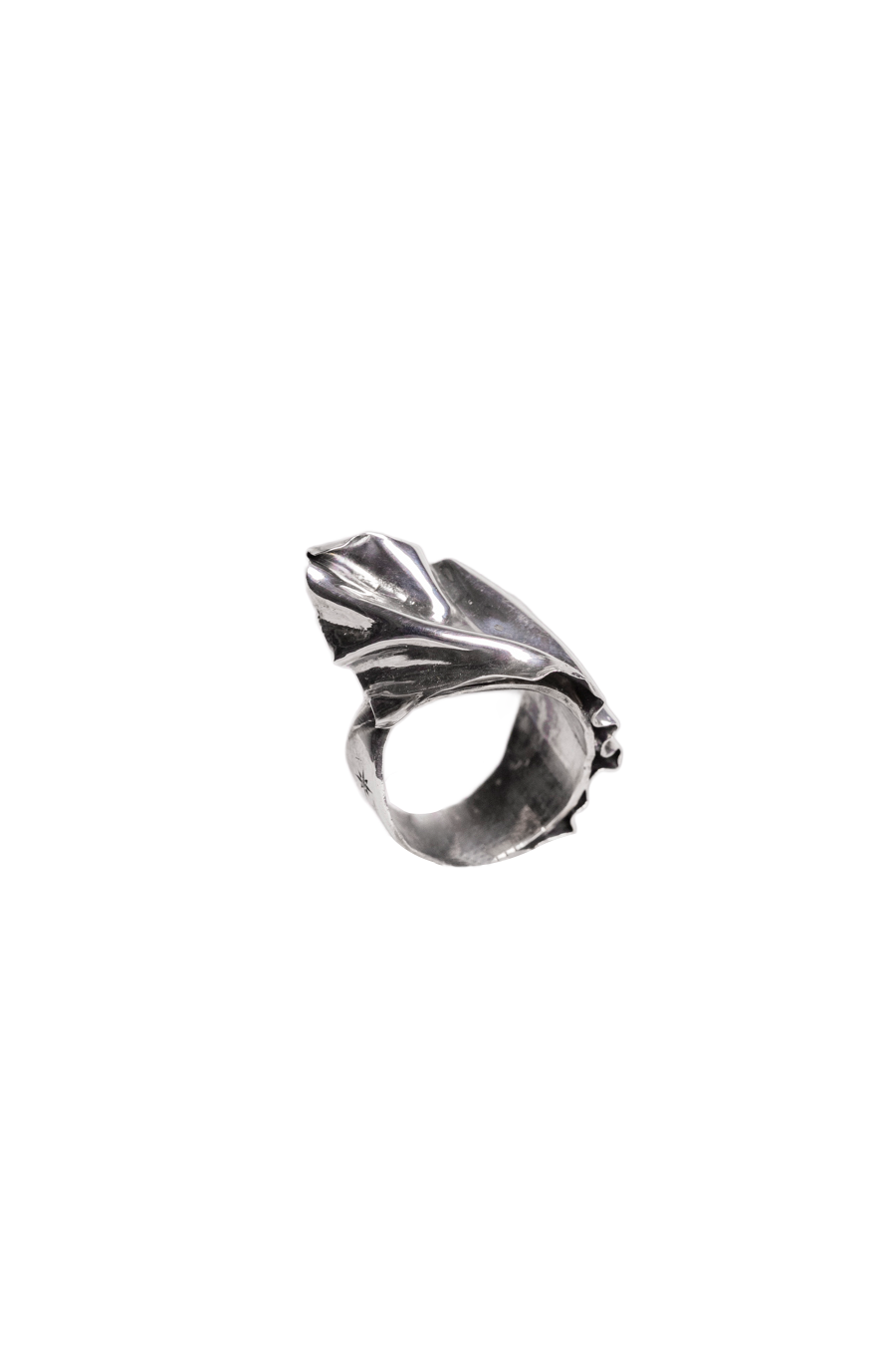 Veil of the Night