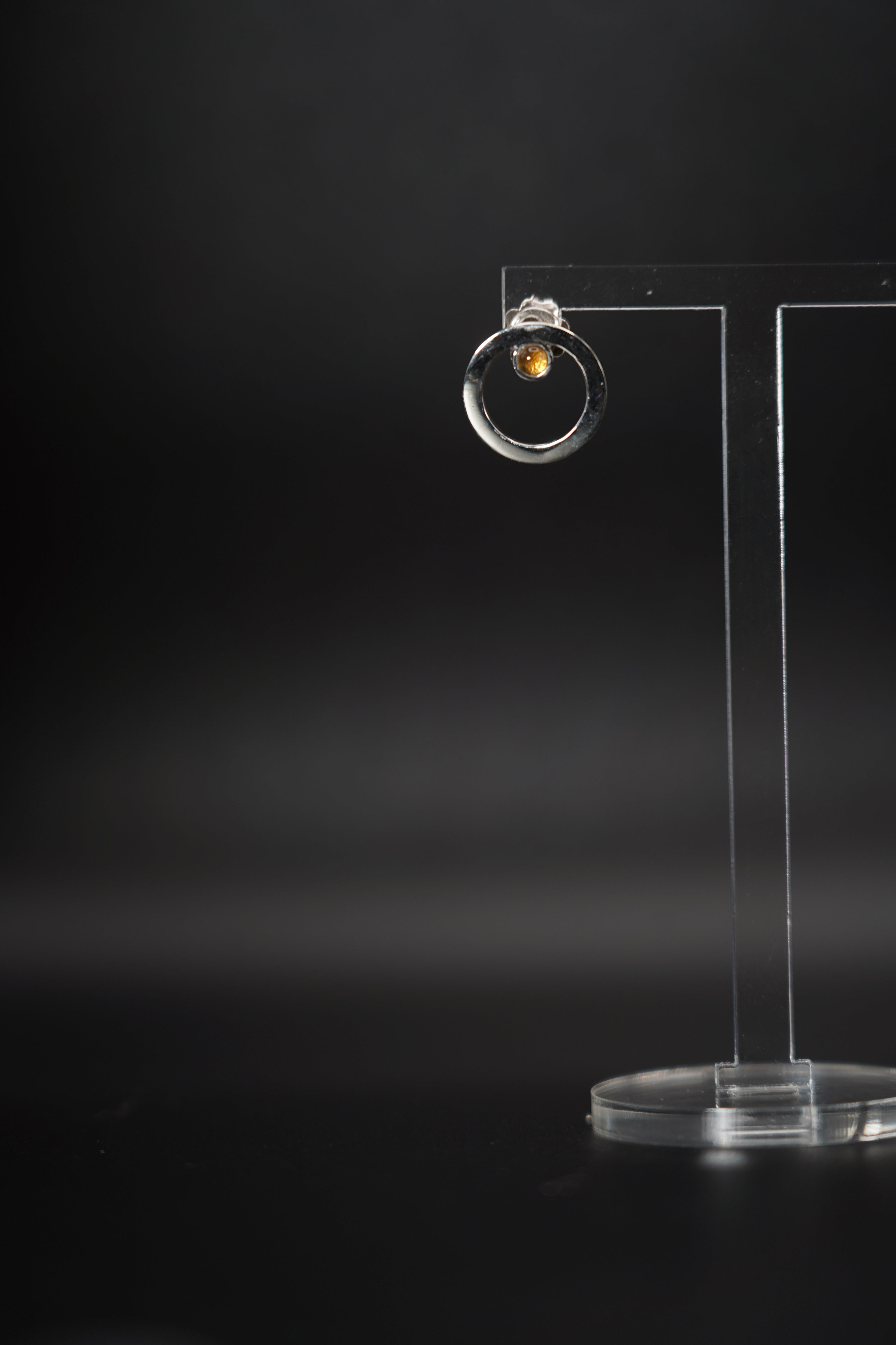 Orbital Earring