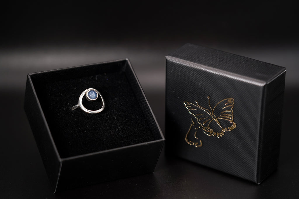Orbital Ring