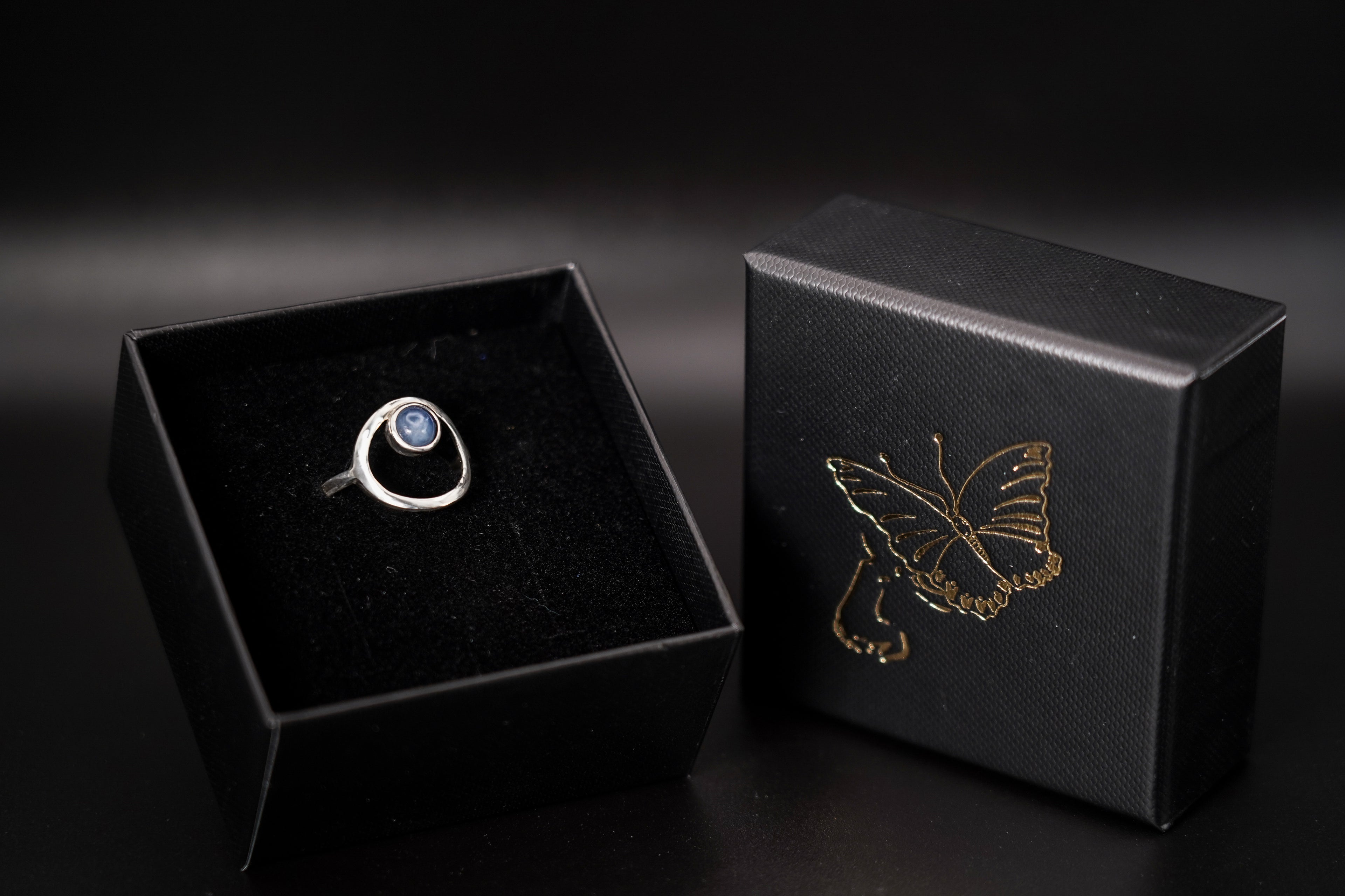 Orbital Ring