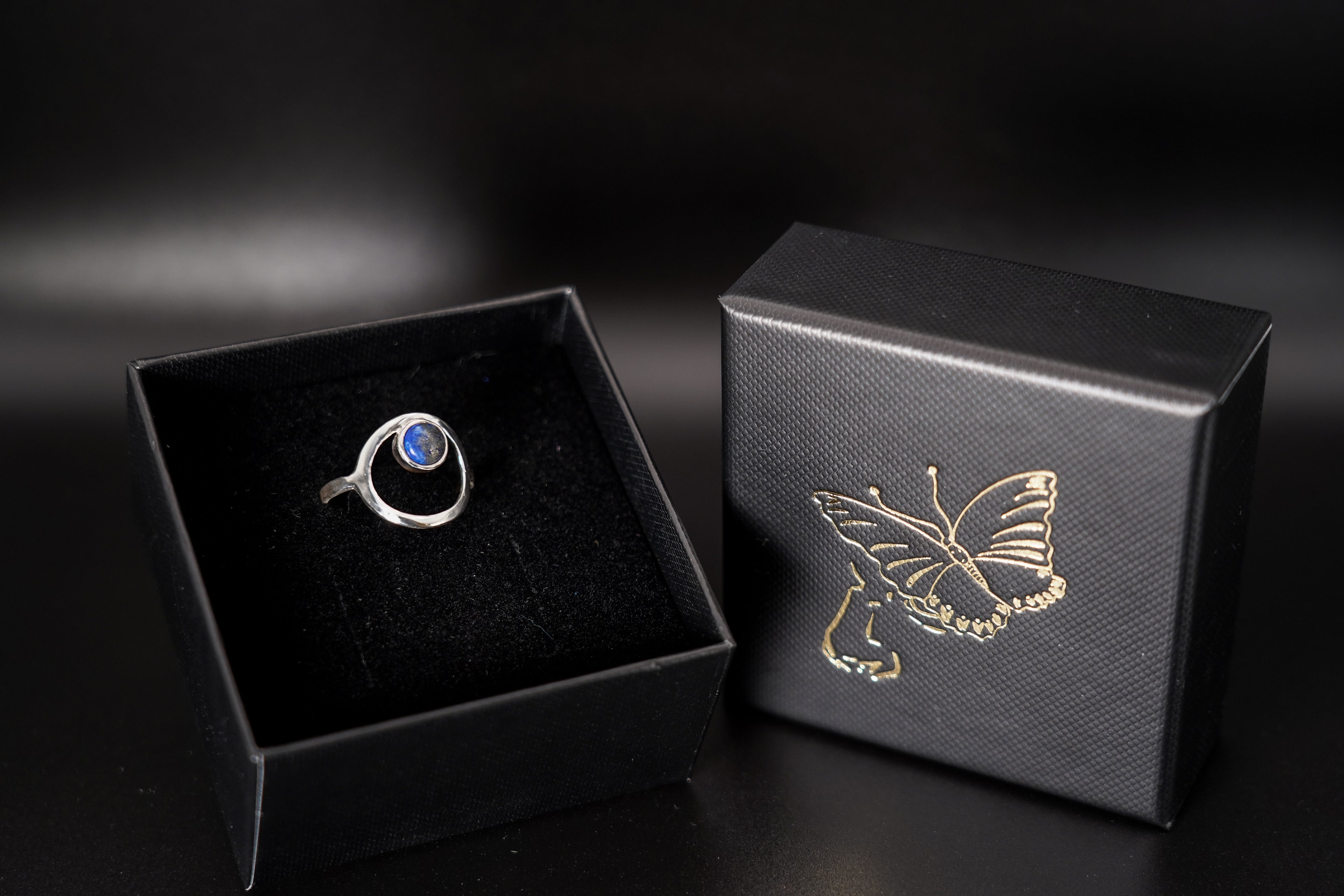 Orbital Ring